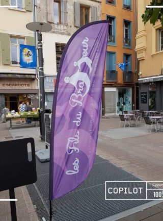 Beach-Flag - S - 250 cm